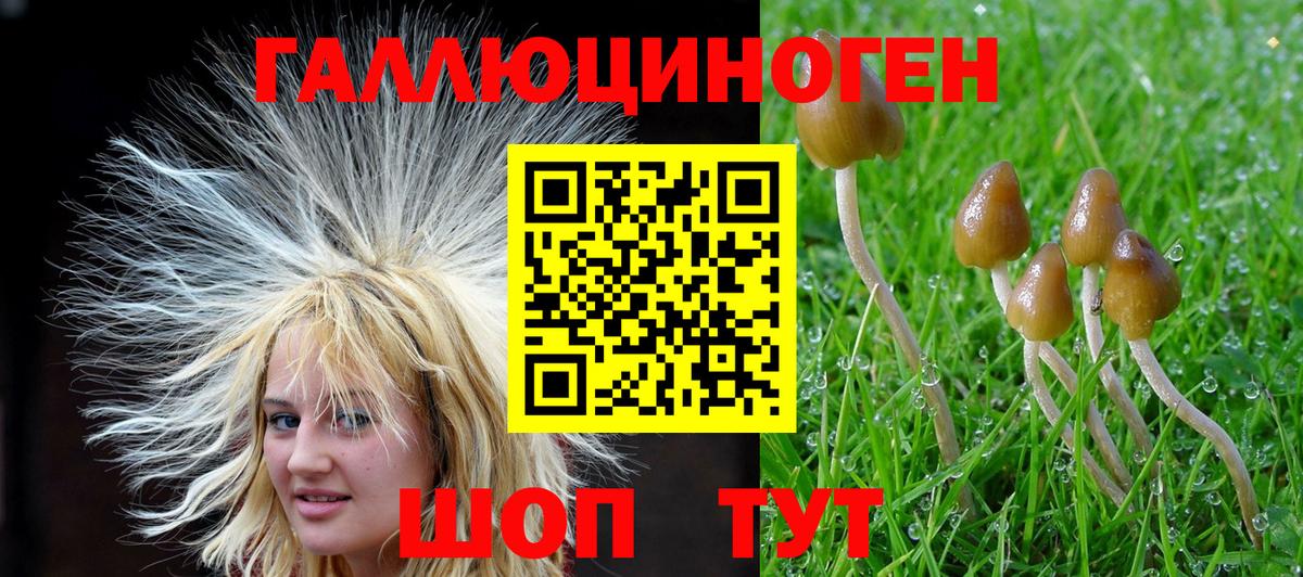 Псилоцибиновые грибы Cubensis  купить наркоту  Свободный  Вход с VPN 