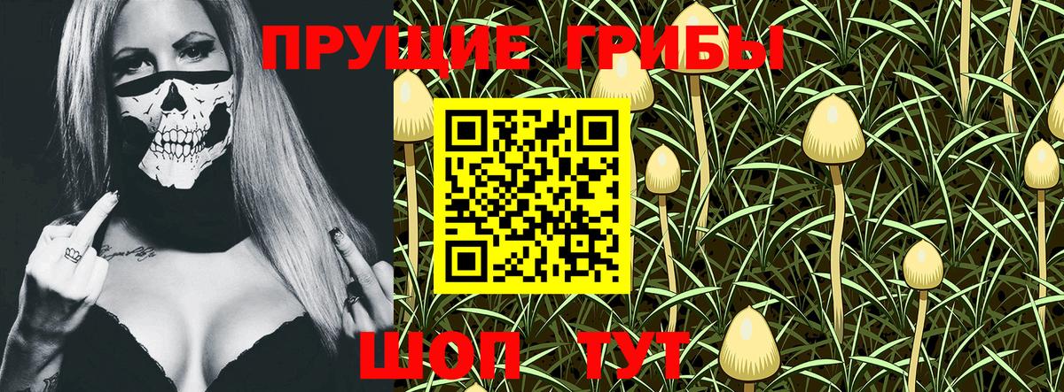 Псилоцибиновые грибы GOLDEN TEACHER Свободный